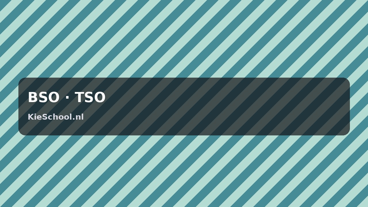 BSO and TSO: A Parent’s Guide to After-School Care in the Netherlands