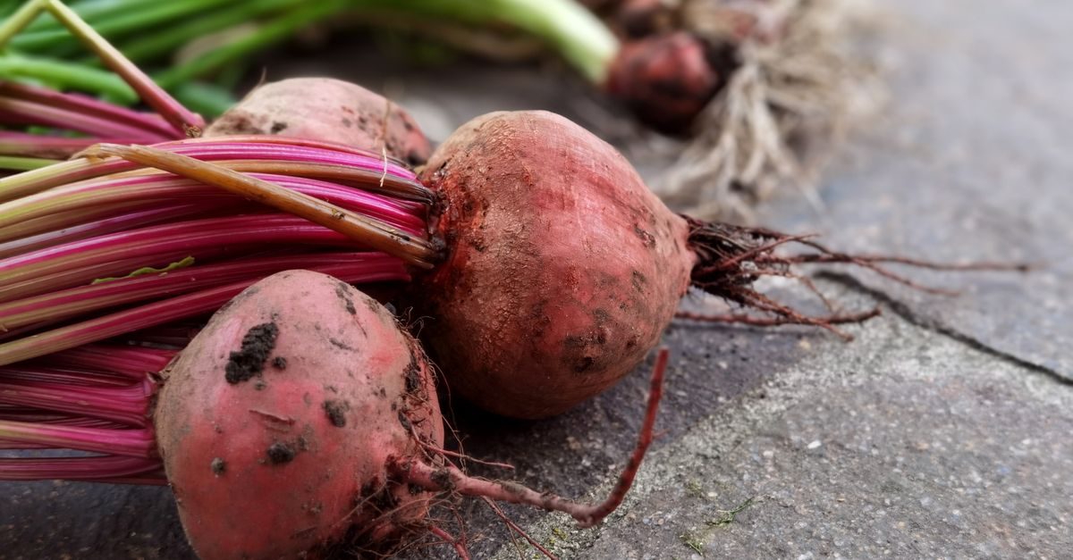 Beets