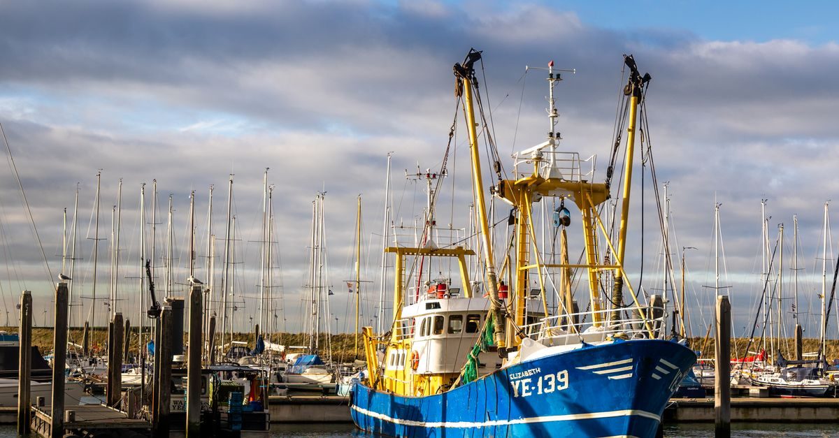Colijnsplaat