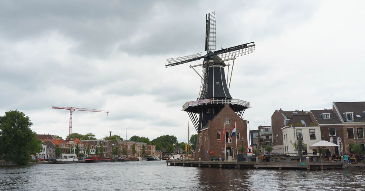 de Wijk