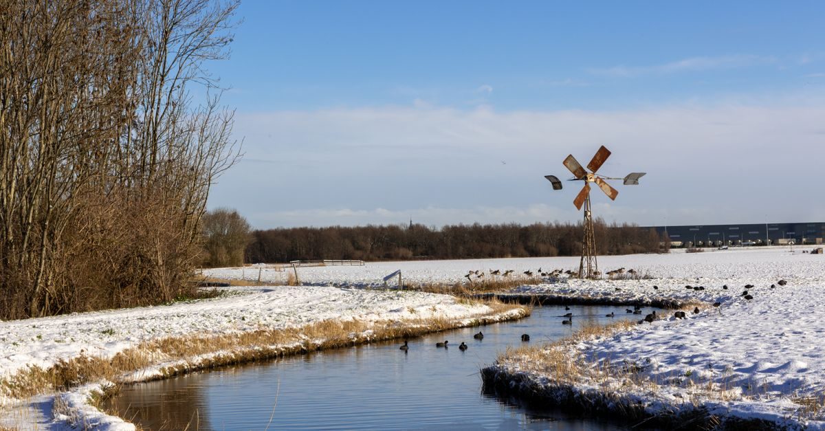 Den Hoorn (Midden-Delfland)