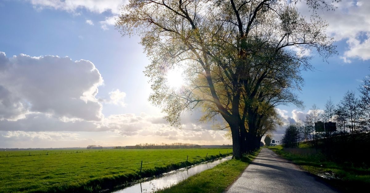 Hoogland