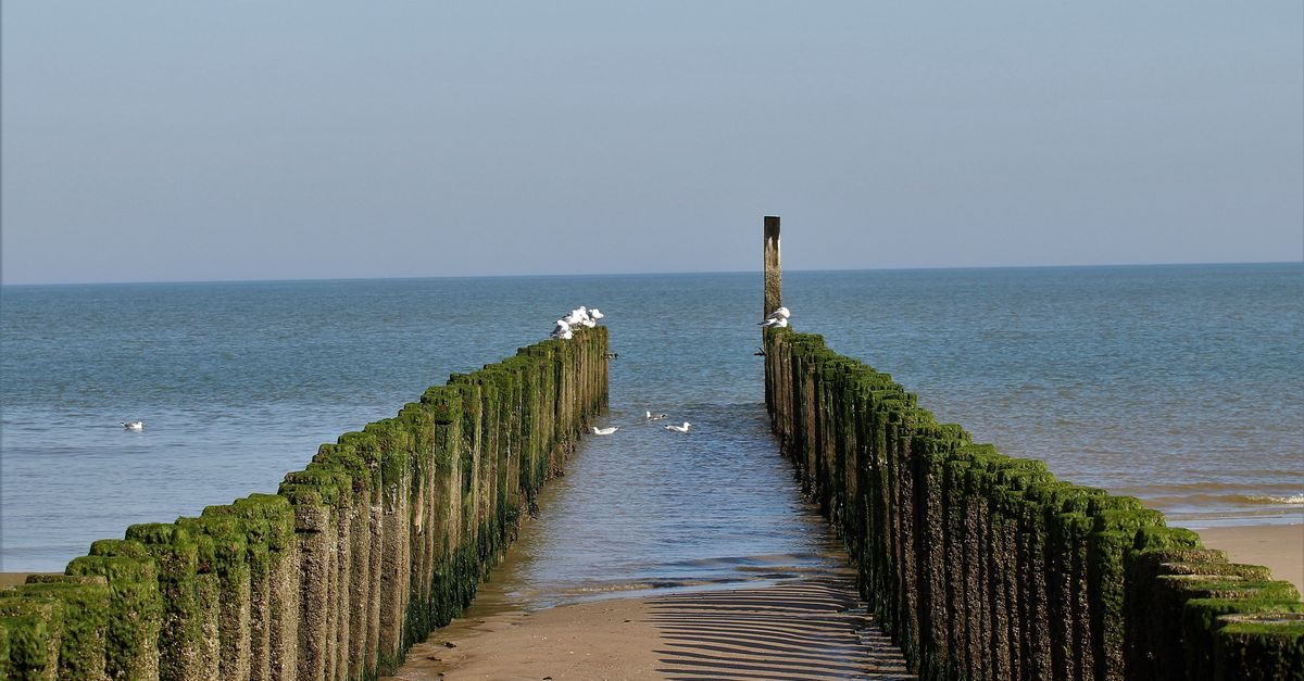 Hoorn (Terschelling)