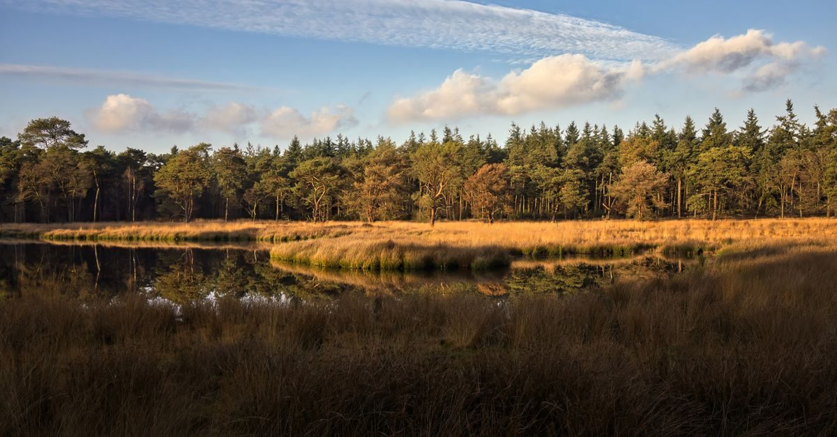 Huis ter Heide (Zeist)