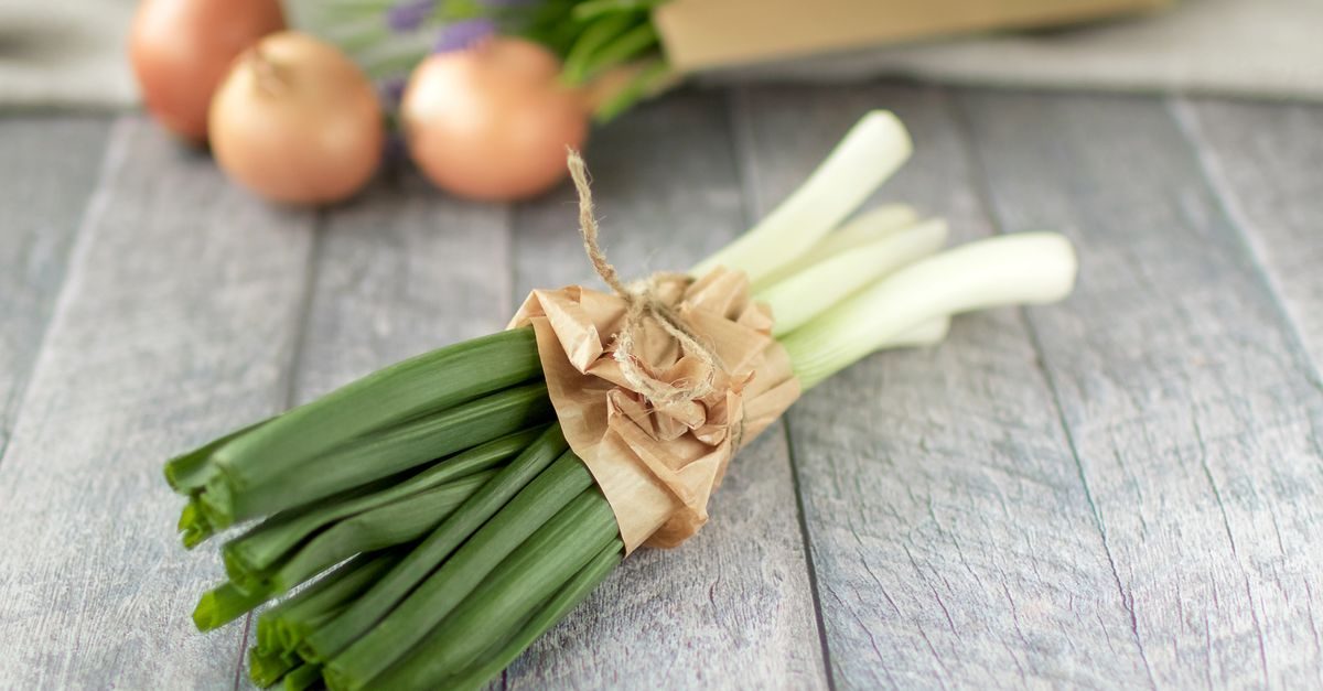 Leek
