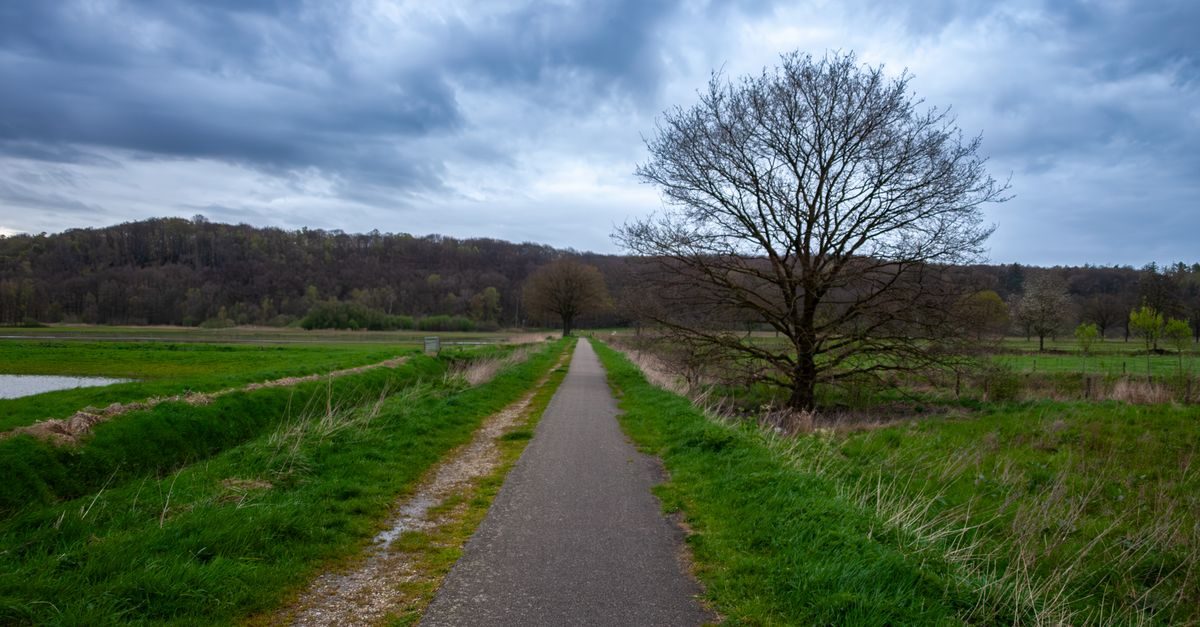 Milsbeek