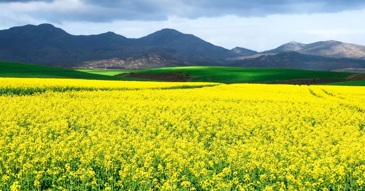Overberg