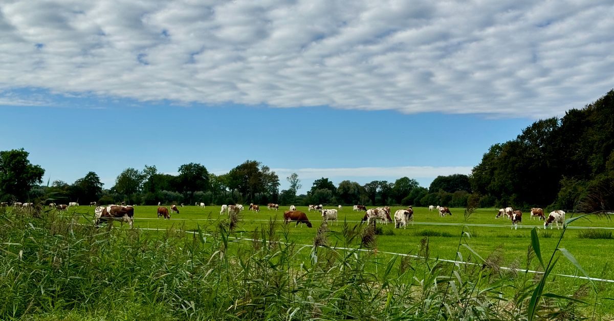 rijssen-holten