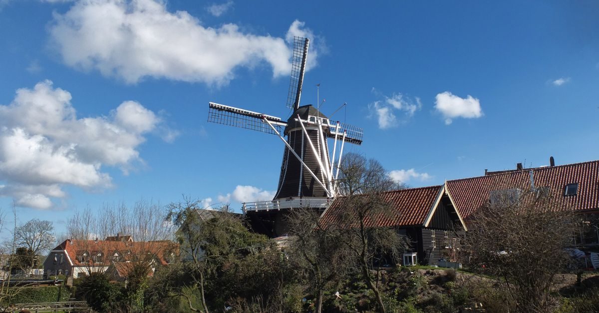 teylingen