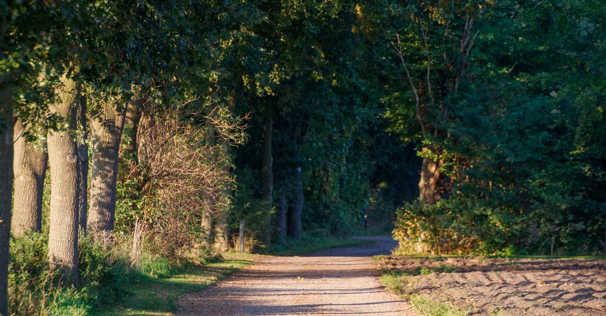 Varsseveld