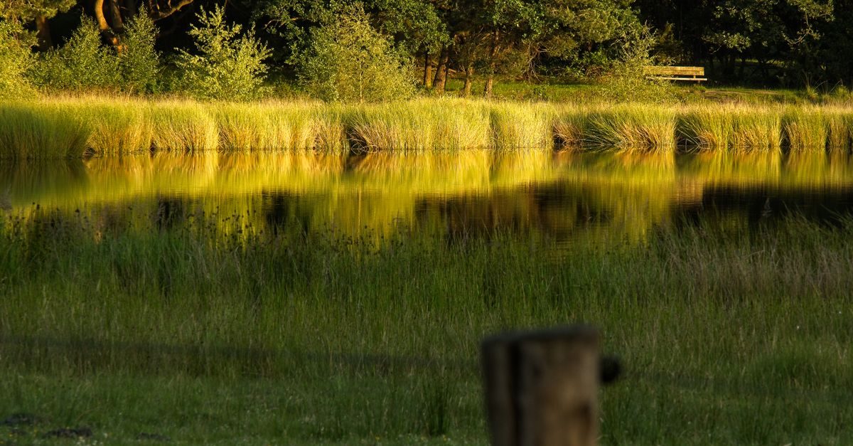 Ven-Zelderheide