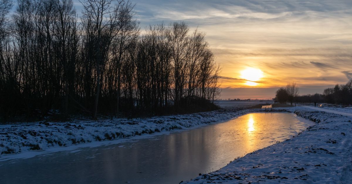 Wateringen