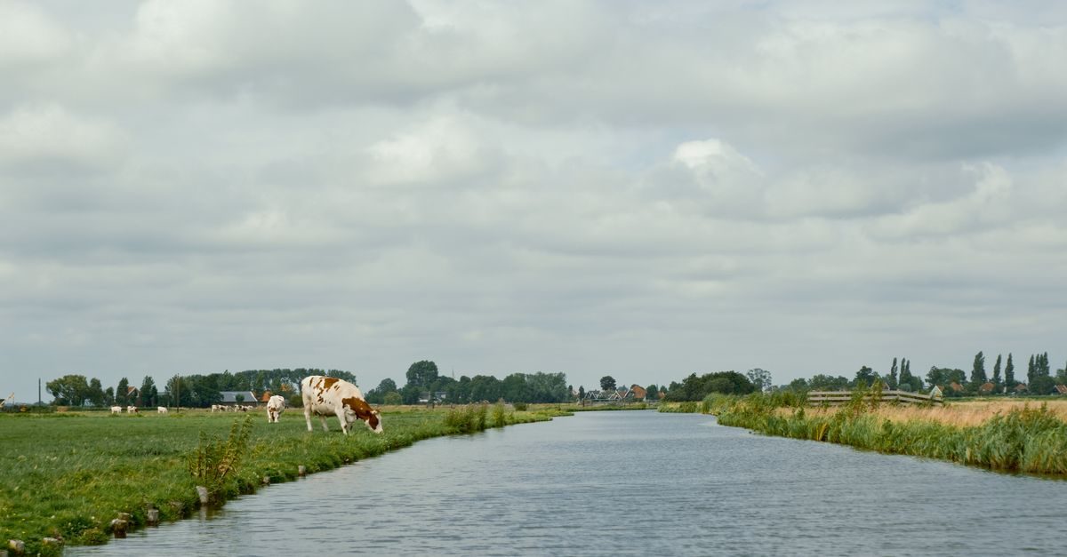 waterland