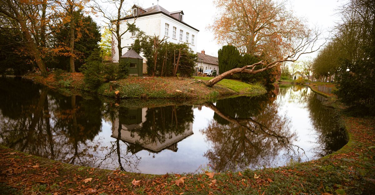 Weert