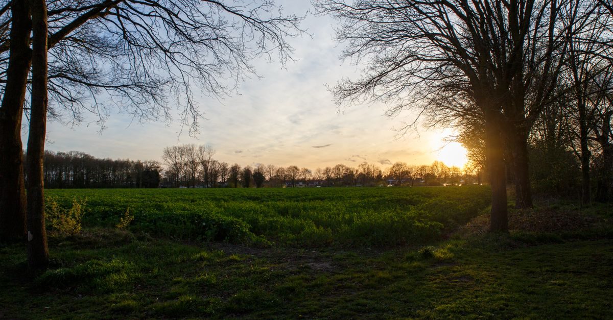 Winterswijk Woold