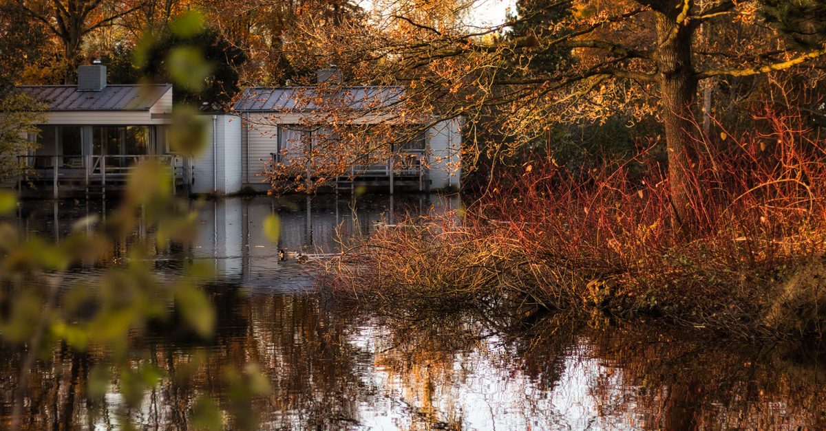 Zeewolde