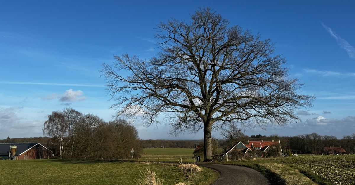 Zenderen