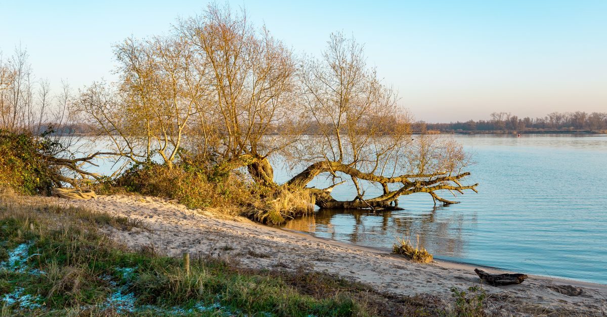 zuidplas